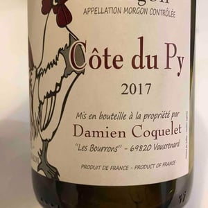 Morgon Côte du Py - Damien Coquelet - Damien Coquelet 
