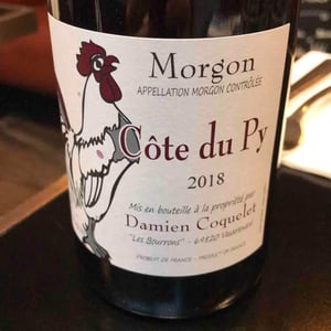 Morgon Côte du Py - Damien Coquelet - damien-coquelet