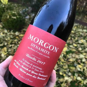 Morgon Dynamite - Les Bertrand - guy-annick-yann-bertrand