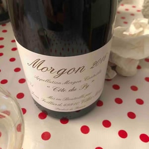 Jean Foillard - Jean Foillard - Morgon