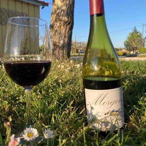 Jean Foillard - Jean Foillard - Morgon