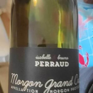 Morgon Grand Cras - Côtes de la Molière - Isabelle & Bruno Perraud 