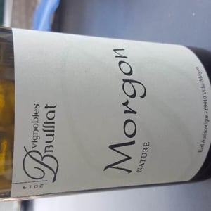 Morgon Nature - Vignobles Bulliat - loic-noel-bulliat