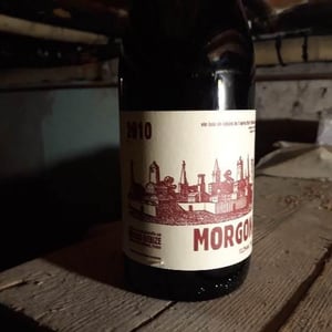 Morgon - Bruno Debize - bruno-debize
