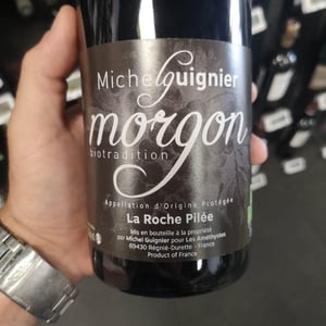 Morgon - Domaine Les Améthystes - michel-guignier-homonym