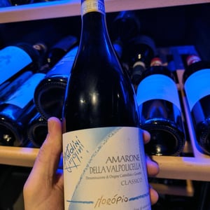 Moropio - Antolini - antolini-pier-paolo-e-stefano -2018
