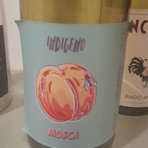 Mosca - Cantina Indigeno (TEMPORARILY CLOSED) - alfredo-giugno-loreto-lamolinara-nicola-reginaldi -2020