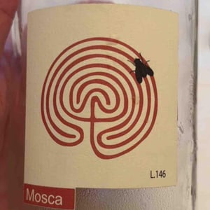 Mosca - Azienda Costadilà - martina-cieli-alex-dalla-vecchia