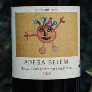 Moscadet Galerno Branco | Curtimenta - Adega Belem Urban Winery - adega-belem-urban-winery -2022