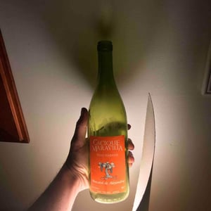 Cacique Maravilla 17