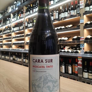 MOSCATEL TINTO - Cara Sur - sebastian-zuccardi-marcela-manini-nuria-ano-gargiulo-and-pancho-burgallo