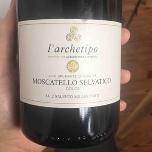 Moscatello selvatico dolce - L’archetipo - francesco-valentino-di-benedetto -2021