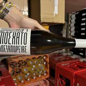 MUSCAT ALEXANDRIAS - Savvoglou-Tsivolas Winery / Limnos Organic Wines - savvoglou-tsivolas-winery-limnos-organic-wines -2019