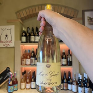 Moscato Giallo - manincor - manincor -2022