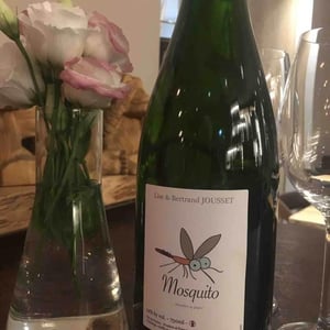 Domaine Jousset - Lise & Bertrand Jousset - Mosquito