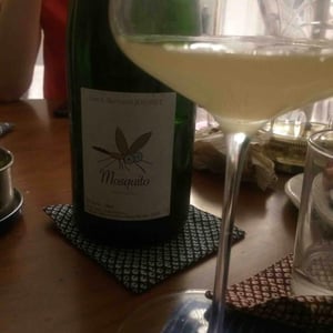 Domaine Jousset - Lise & Bertrand Jousset - Mosquito