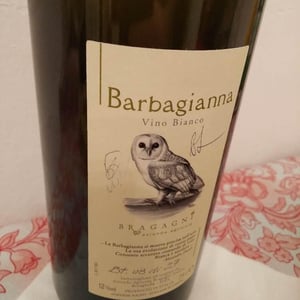 Barbagianna - Azienda Agricola Bragagni Andrea - andrea-bragagni
