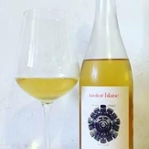 Motor Blanc - Cuatro Kilos Vinicola - 4-kilos-vinicola