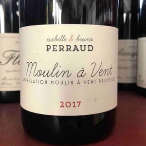 Côtes de la Molière - Isabelle & Bruno Perraud - Moulin à Vent