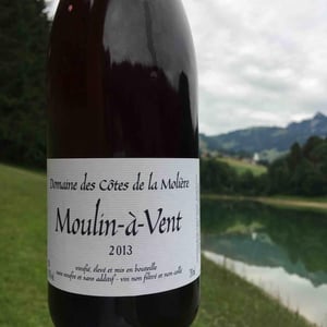 Côtes de la Molière - Isabelle & Bruno Perraud - Moulin à Vent