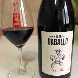 Mounto Daballo - Domaine des Amiel - aymeric-jordan-amiel