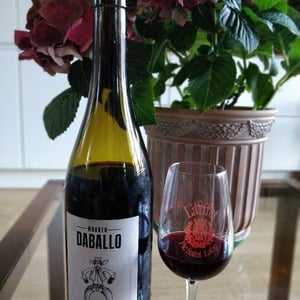 Mounto Daballo - Domaine des Amiel - aymeric-jordan-amiel