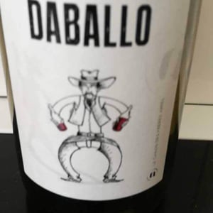 Domaine des Amiel - Aymeric & Jordan Amiel - Mounto Daballo