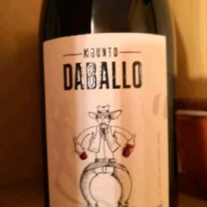 Mounto Daballo - Domaine des Amiel - Aymeric & Jordan Amiel 