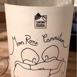 Mons Roni Cannitum - Azienda Agricola Cantina Giara - giorgio-nicassio