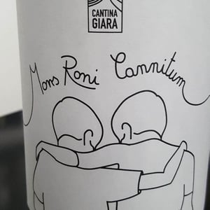 Mons Roni Cannitum - Azienda Agricola Cantina Giara - giorgio-nicassio