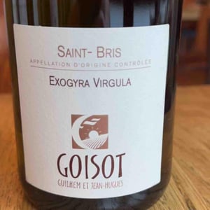 Moury - Domaine Goisot - Guilhem & Jean-Hugues Goisot 