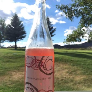 Domaine Mosse - Sylvestre & Joseph Mosse - Moussamoussettes