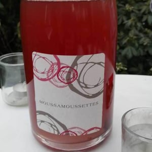 Moussamoussettes - Domaine Mosse - sylvestre-joseph-mosse