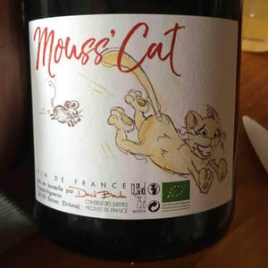 Mouss’Cat - David Bautin - David Bautin 