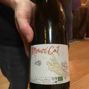 Mouss’Cat - David Bautin - David Bautin 