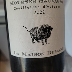 Mousses Sauvages "Aligoté"" - La Maison Romane - Victorine & Oronce de Beler -2021