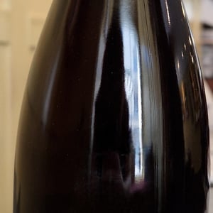 Mousses Sauvages "Gamay" - La Maison Romane - Victorine & Oronce de Beler -2022
