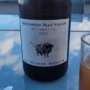 Mousses Sauvages Mirabelle - La Maison Romane - Victorine & Oronce de Beler 
