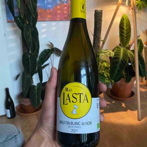 Mouton Blanc de Noir - Mas Lasta - Anne-Laure Sicard 