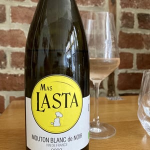 Mouton Blanc de Noir - Mas Lasta - anne-laure-sicard