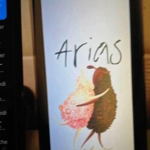Mouton Noir - Domaine Arias - Xoan Arias 