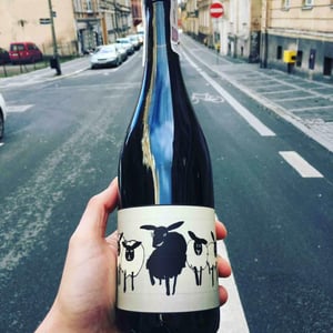 Mouton Noir - Collectif Anonyme (RETIRED) - collectif-anonyme-retired