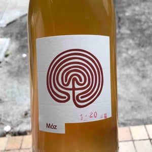 Costadilà Bianco Móz 2019