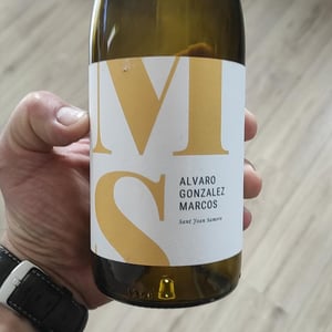MS - Alvaro Gonzalez Marcos - Alvaro Gonzalez Marcos -2022