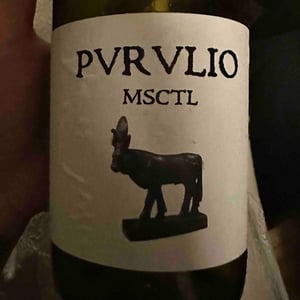 MSCTL - Viñas de Purulio-Bodega Torcuato Huertas Tomás - Tomás Torcuato Huertas 