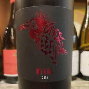 MTRNR 2016 - Oiseau Rebelle - guido-melanie-hube