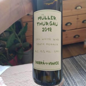 Müller Thurgau - Dobra Vinice - petr-nejedlik-andrea-nejedlikova