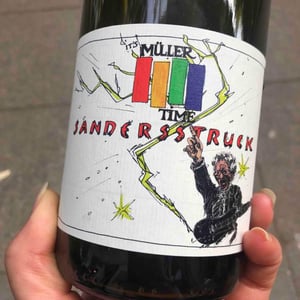 Sandersstruck 2019