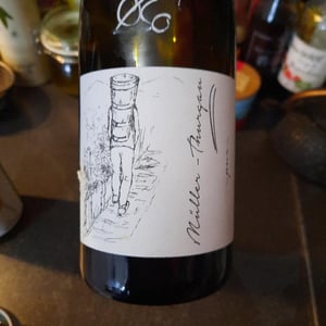 Müller Thurgau - Brand Bros - Weingut Brand - Daniel & Jonas Brand 