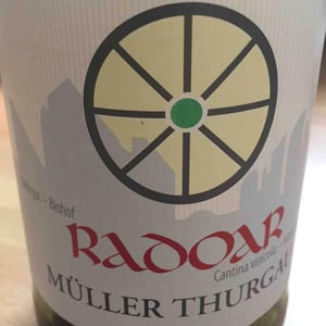Muller Thurgau - Radoar Azienda Agricola - edith-norbert-blasbichler